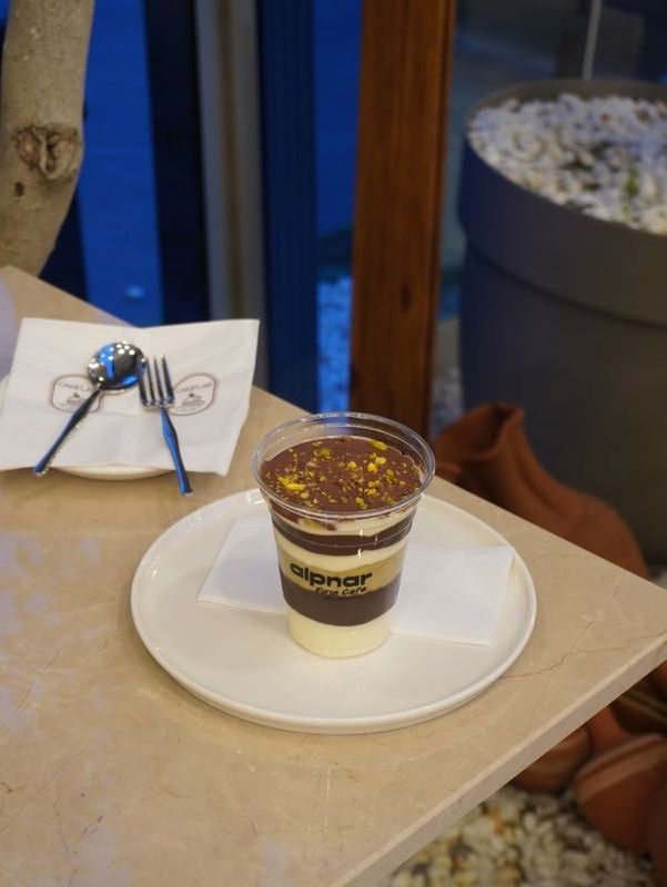 Dubai Cup